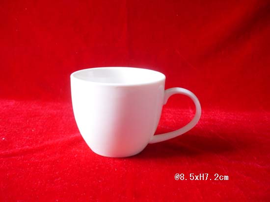 ZS101-PM611