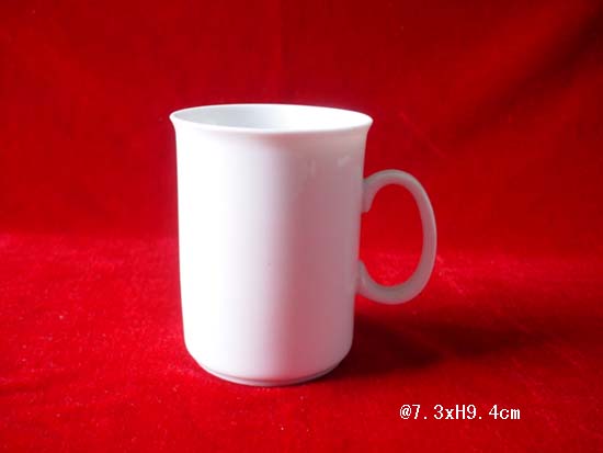ZS101-PM622